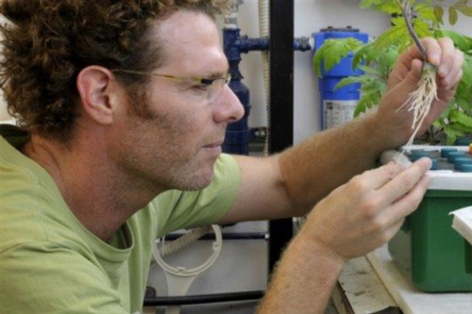 Studying the Neglected Area of Root and Soil Problems Down Under