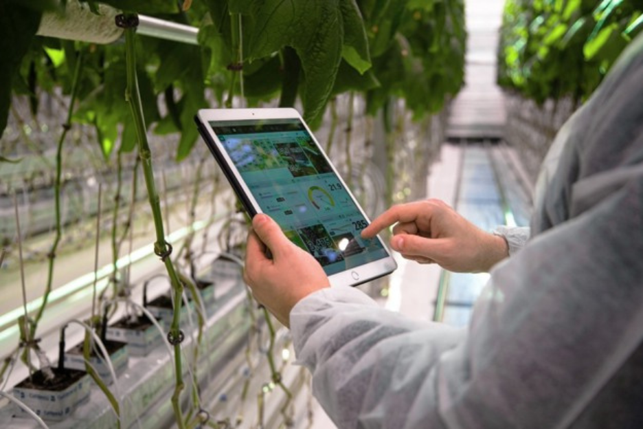 Optimizing Crop and Resource Management with Wireless Sensors