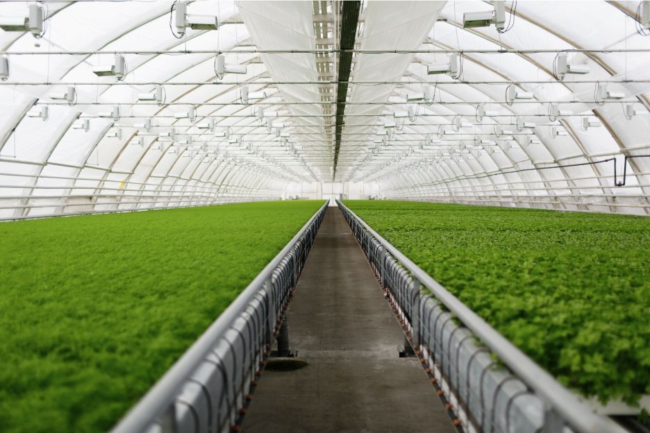 Irrigation Systems