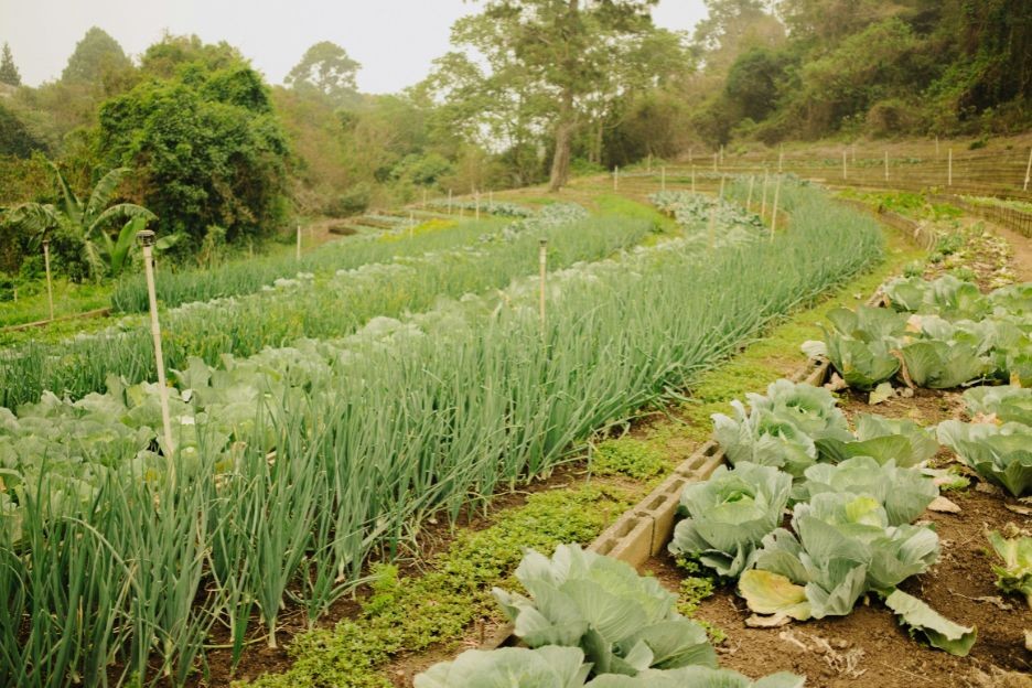 Regerenative Farming