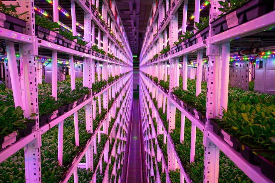 Vertical Farming