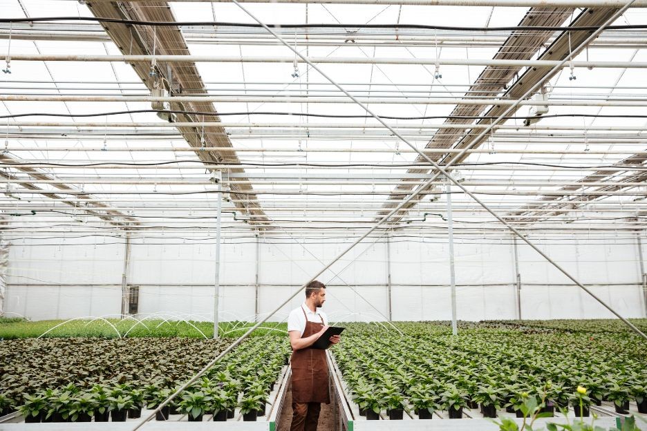 Greenhouse
