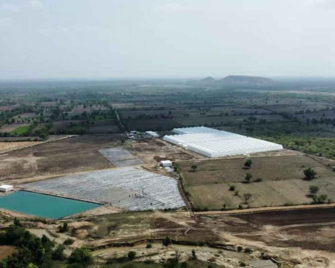 Huge greenhouse and open field complex coming online in India