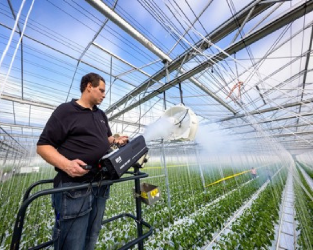 New greenhouse multifan: reduced noise levels and improved energy efficiency