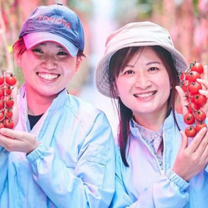 Toyota grows strawberries and cherry tomatoes at its production plants