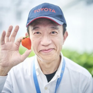 Toyota grows strawberries and cherry tomatoes at its production plants 2