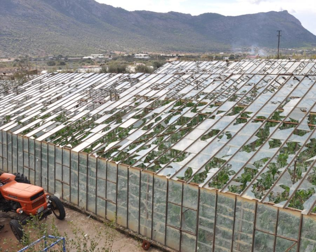 Disused Greenhouses in Sakarya Will Be Put Into Production 