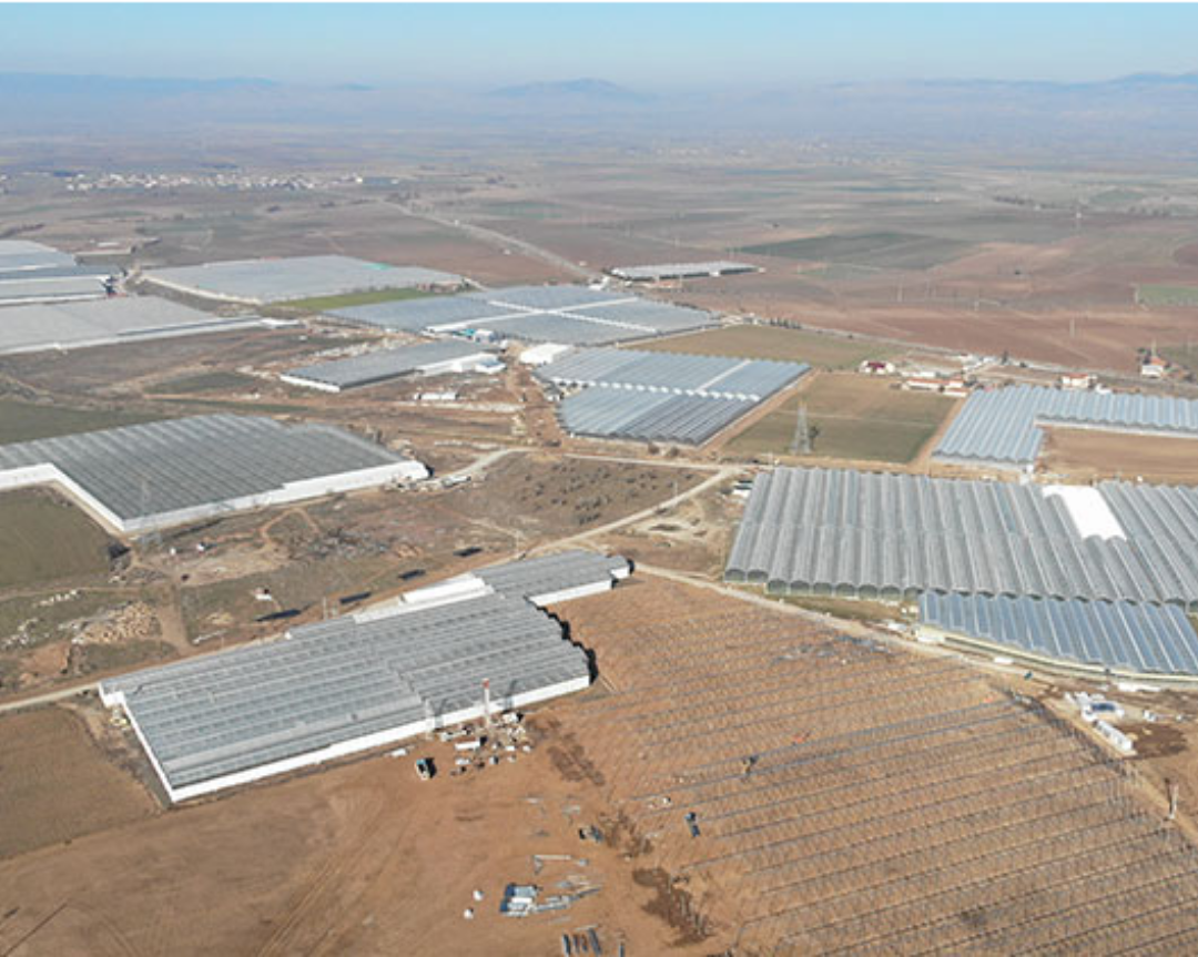 Investments In Geothermal Greenhouses In Afyonkarahisar Contribute To The National Economy