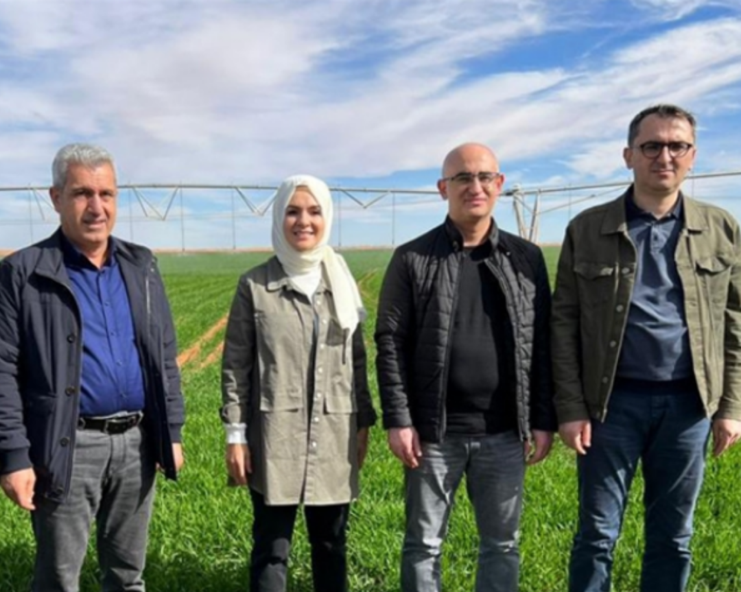 Turkish Company Has Started Farming in the Desert in Algeria