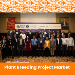 Plant Breeding Project Market