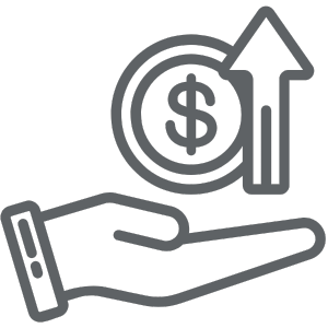 Investor