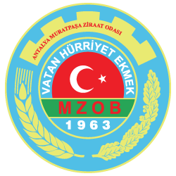 MZOB