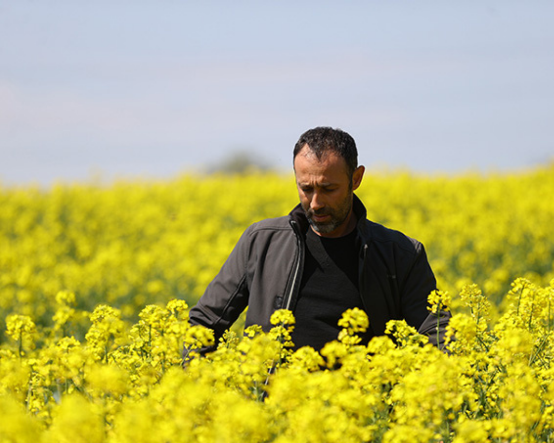 Edirneli Çiftçi, Azaltılmış Toprak İşleme Yöntemiyle Verim Kaybı Yaşamadan Maliyetlerini Düşürdü 